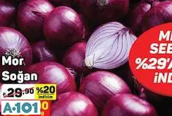 MOR SOĞAN KG MOR SOĞAN KG